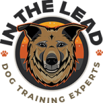 In-the-Lead-dog-training