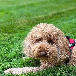 heather-trocola-testimonials